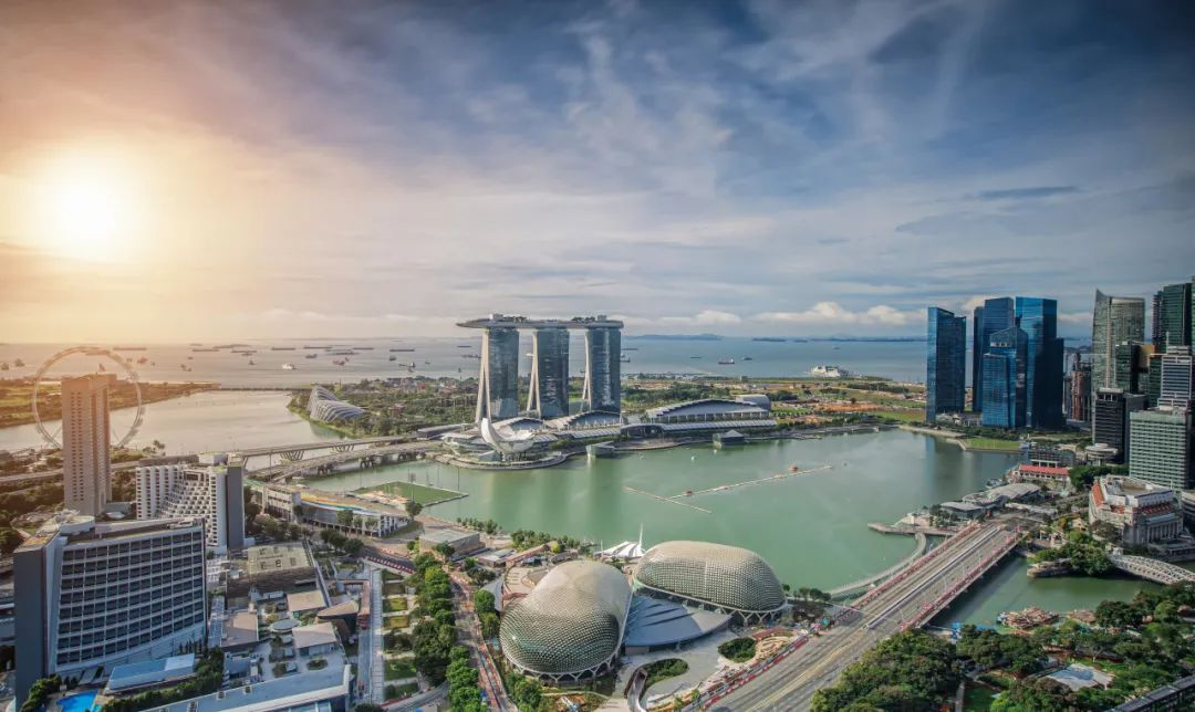 新加坡展团携五大物流精英聚首2024亚洲物流双年展